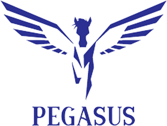 Pegasus